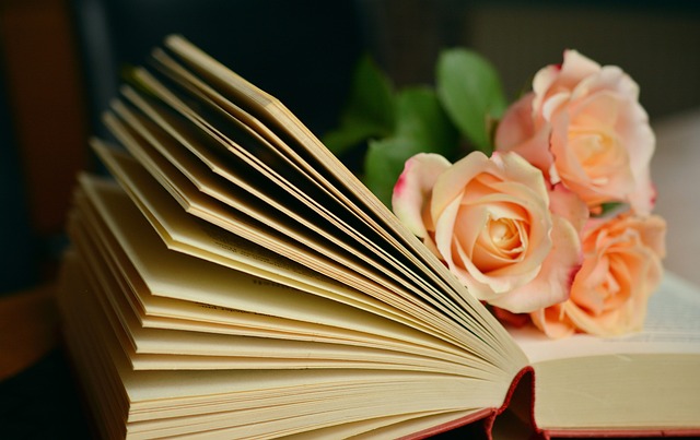 Een complete handleiding voor het drukken van softcover boeken
